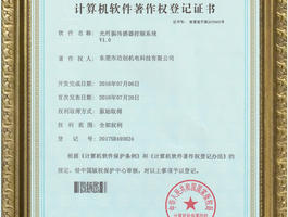 Software copyright 05