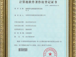 Software copyright 01
