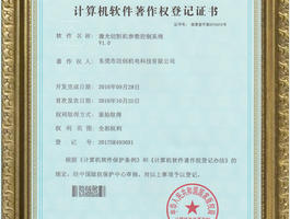 Software copyright 03