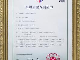 Patent 06