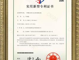 Patent 09